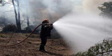 Έρχεται πρόγραμμα κοινωφελούς εργασίας με 5.066 θέσεις για προστασία των δασών – Δείτε τις θέσεις στη Δυτ. Μακεδονία