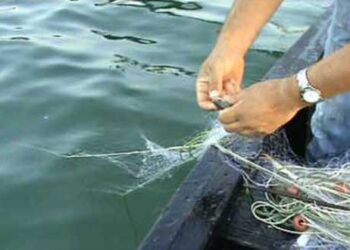 Απαγόρευση αλιείας στα εσωτερικά νερά της Π.Ε. Κοζάνης Περιφέρειας Δυτ. Μακεδονίας λόγω αναπαραγωγής των ψαριών