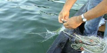 Απαγόρευση αλιείας στα εσωτερικά νερά της Π.Ε. Κοζάνης Περιφέρειας Δυτ. Μακεδονίας λόγω αναπαραγωγής των ψαριών