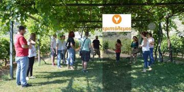 Παράταση υποβολής αιτήσεων για συμμετοχή νέων στο σεμινάριο «Τριπτόλεμος» στη Φλώρινα