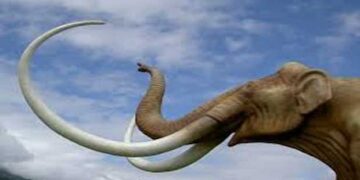 Γρεβενά: Στο κυνήγι των ελεφάντων πριν από 3,5 εκατ. χρόνια