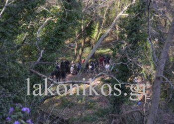 Όταν έχεις Αρχές με @ρχ1δ1α