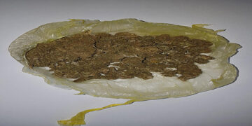 Γρεβενά: Σύλληψη 21χρονου για κατοχή ναρκωτικών ουσιών