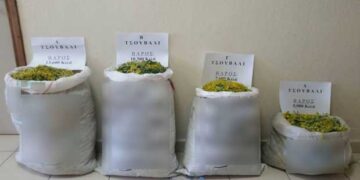 Kαστοριά: Σύλληψη 34χρονου για  παράνομη συλλογή αρωματικών- θεραπευτικών φυτών