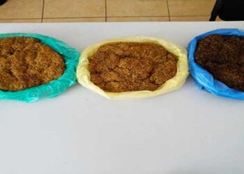 Φλώρινα: Σύλληψη 27χρονου για κατοχή αδασμολόγητου καπνού