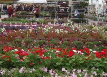 Ναυάγιο για την 20η Ανθοκομική Έκθεση Πτολεμαΐδας