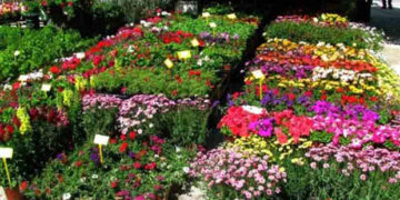 24 Μαΐου ξεκινά η 20η Ανθοκομική Έκθεση Πτολεμαΐδας