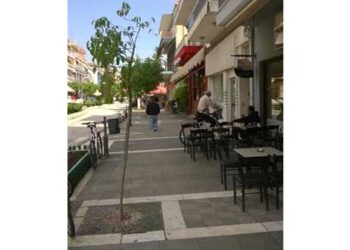 Αναπλήρωση δένδρων στην Πτολ/δα: Ποτέ δεν είναι αργά – Από τα παραπολιτικά του Παλμού 09/05/2018