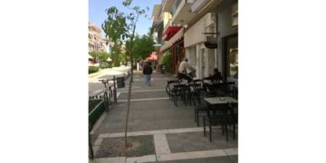 Αναπλήρωση δένδρων στην Πτολ/δα: Ποτέ δεν είναι αργά – Από τα παραπολιτικά του Παλμού 09/05/2018