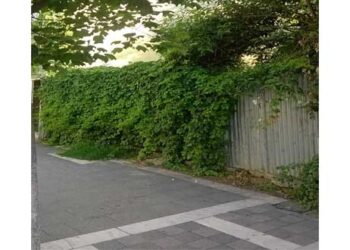 Φίδι κάνει βόλτα στην 25ης Μαρτίου στην Πτολεμαΐδα – Από τα παραπολιτικά του Παλμού 30/05/2018