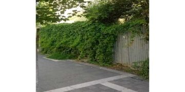 Φίδι κάνει βόλτα στην 25ης Μαρτίου στην Πτολεμαΐδα – Από τα παραπολιτικά του Παλμού 30/05/2018