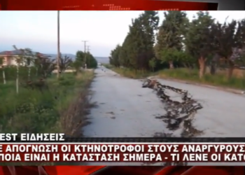 Σε απόγνωση οι κτηνοτρόφοι στους Αναργύρους -Τι λένε στο WEST οι κάτοικοι (Βίντεο)