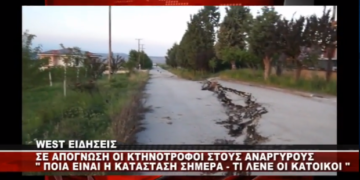 Σε απόγνωση οι κτηνοτρόφοι στους Αναργύρους -Τι λένε στο WEST οι κάτοικοι (Βίντεο)