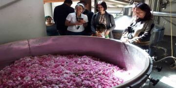 Κοζάνη: Γνωριμία με την απόσταξη ρόδων για Έλληνες και ξένους στον Συνεταιρισμού Βοϊου