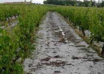 Έντονη βροχόπτωση στην Κοζάνη – Ζημιές από χαλάζι σε Φλώρινα, Καστοριά και Γρεβενά – Ο ΕΛΓΑ Δυτικής Μακεδονίας ξεκινά «επισήμανση» των ζημιών