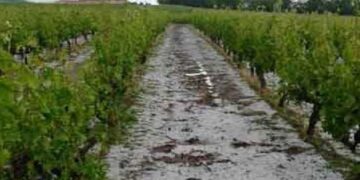 Έντονη βροχόπτωση στην Κοζάνη – Ζημιές από χαλάζι σε Φλώρινα, Καστοριά και Γρεβενά – Ο ΕΛΓΑ Δυτικής Μακεδονίας ξεκινά «επισήμανση» των ζημιών