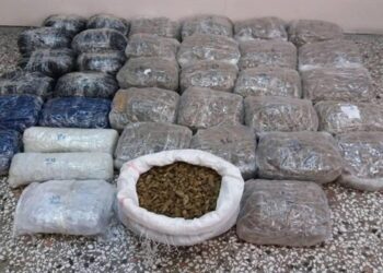 Συνελήφθησαν 2 άτομα από την Υποδιεύθυνση Ασφάλειας Καστοριάς για διακίνηση μεγάλης ποσότητας κάνναβης, σε περιοχή της Κοζάνης