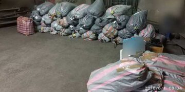 Πάνω από 693 κιλά κάνναβης καταστράφηκαν στον ΑΗΣ Καρδιάς – Δείτε το βίντεο