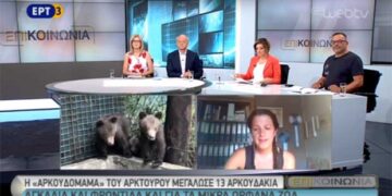 Η “αρκουδομαμά” του αρκτούρου μεγάλωσε 13 αρκουδάκια – Τι λέει στην εκπομπή ‘Επικοινωνία’ της ΕΡΤ3 για την φροντίδα που χρειάζονται τα μικρά ορφανά (Βίντεο)