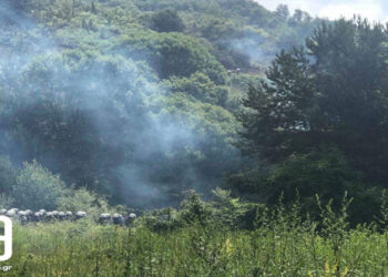 Τεταμένο το κλίμα στις Πρέσπες με χημικά και αντικείμενα (ΒΙΝΤΕΟ & ΦΩΤΟ)