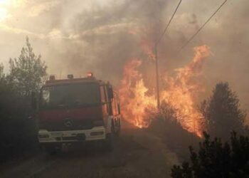 Λ. Αυγενάκης: Συγκεντρώνονται φάρμακα, ξηρά τροφή, νερά για τη στήριξη των πληγέντων από τις πυρκαγιές στην Αττική