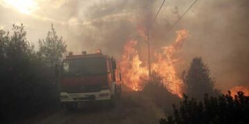 Λ. Αυγενάκης: Συγκεντρώνονται φάρμακα, ξηρά τροφή, νερά για τη στήριξη των πληγέντων από τις πυρκαγιές στην Αττική