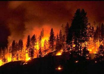 Αστική ευθύνη του δημοσίου για θύματα από πυρκαγιές και πολιτική ευθύνη – Γράφει ο Γιάννης Τζιουράς