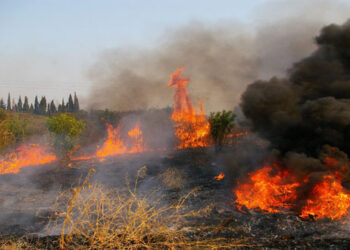 Στέρεψαν τα δάκρυα…….. – Γράφει ο Γεώργιος Τρυφωνόπουλος
