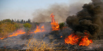 Στέρεψαν τα δάκρυα…….. – Γράφει ο Γεώργιος Τρυφωνόπουλος