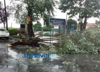 Καταρρακτώδης βροχή και χαλάζι στη Θεσσαλονίκη – «Ποτάμια» οι δρόμοι μέσα σε λίγα λεπτά (Βίντεο)