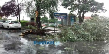 Καταρρακτώδης βροχή και χαλάζι στη Θεσσαλονίκη – «Ποτάμια» οι δρόμοι μέσα σε λίγα λεπτά (Βίντεο)