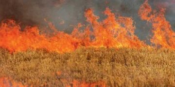 Διεύθυνση Αγροτικής Οικονομίας και Κτηνιατρικής Π.Ε. Κοζάνης: Απαγορεύεται η καύση της καλαμιάς – Συχνή αιτία πρόκλησης πυρκαγιών