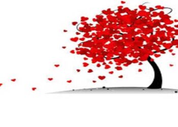 Ευχαριστήριο Γενικού Νοσοκομείου Κοζάνης προς τους εθελοντές αιμοδότες