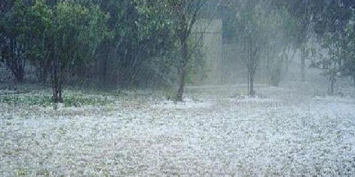 ΕΛΓΑ: Ξεκινούν οι δηλώσεις ζημιών από τις πρόσφατες βροχοπτώσεις σε Λάρισα, Ημαθία, Πέλλα και Κοζάνη