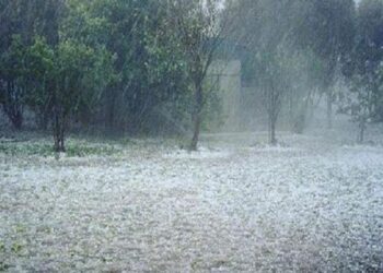 ΕΛΓΑ: Ξεκινούν οι δηλώσεις ζημιών από τις πρόσφατες βροχοπτώσεις σε Λάρισα, Ημαθία, Πέλλα και Κοζάνη