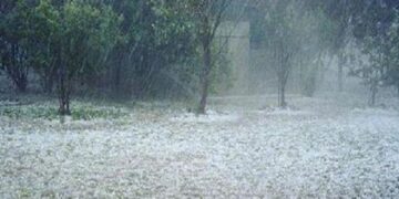 ΕΛΓΑ: Ξεκινούν οι δηλώσεις ζημιών από τις πρόσφατες βροχοπτώσεις σε Λάρισα, Ημαθία, Πέλλα και Κοζάνη