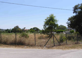 Υποχρεωτικός ο καθαρισμός οικοπέδων και ακάλυπτων χώρων – Υπάρχουν κυρώσεις και πρόστιμα