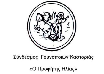 Εορταστικές εκδηλώσεις στον Προφήτη Ηλία Καστοριάς