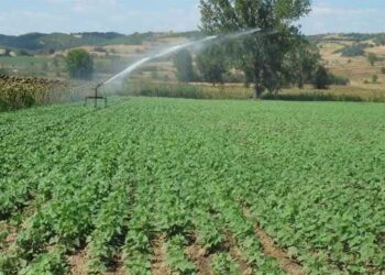 Κοζάνη: Σημείο φωτογράφισης για νεόνυμφα ζευγάρια έχει γίνει ένα χωράφι (φωτο)