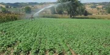 Κοζάνη: Σημείο φωτογράφισης για νεόνυμφα ζευγάρια έχει γίνει ένα χωράφι (φωτο)