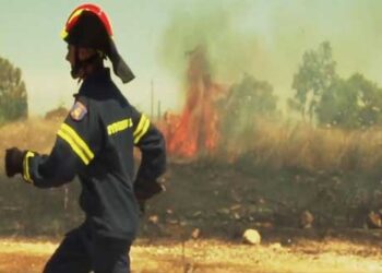 Τηλεοπτικό κοινωνικό μήνυμα για δασικές πυρκαγιές