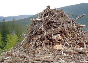 Δύο ευρωπαϊκά προγράμματα που αλλάζουν το ενεργειακό τοπίο της Δυτικής Μακεδονίας