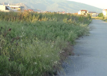 Αναλαμβάνουμε την κοπή χόρτων