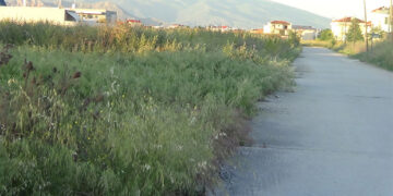 Αναλαμβάνουμε την κοπή χόρτων