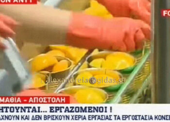 Ο ΑΝΤ1 στα εργοστάσια της Ημαθίας: Ψάχνουμε προσωπικό και οι νέοι είναι στις καφετέριες! (Βίντεο)