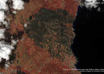 Η φωτιά αυτή, ιδιαίτερο φυσικό φαινόμενο – Γράφει ο Ευάγγελος Αθανασιάδης