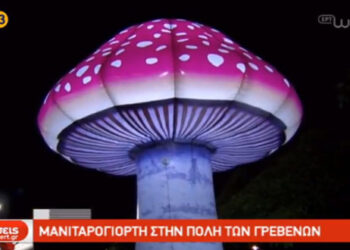 Μανιταρογεύσεις και εκπλήξεις επιφύλαξε για τους επισκέπτες των Γρεβενών η φετινή Μανιταρογιορτή