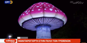 Μανιταρογεύσεις και εκπλήξεις επιφύλαξε για τους επισκέπτες των Γρεβενών η φετινή Μανιταρογιορτή