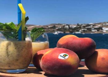 ΑΣΕΠΟΠ Βελβεντού: Σε εξαγωγές το 50% της φετινής παραγωγής ροδάκινου