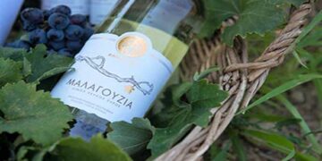 Ακυρώνει το φόρο στο κρασί απόφαση του Συμβουλίου της Επικρατείας